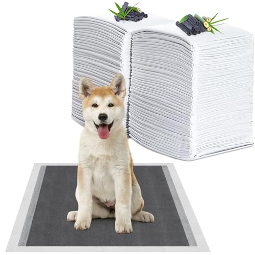 YADOBIG 40 Pezzi Tappetini Igienici per Cani, 60 x 60cm Tappetini al Carbone, 6 Strati Tappetini Assorbenti per Cani, Tappetini Cane con Controllo Degli Odori
