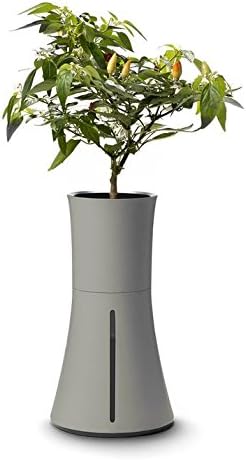 BotaniumIndoor Hydroponic Herb and Plant Growing System, Ash Grey