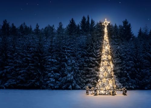 Fond photo Noël anti-reflet en tissu grand sapin doré pour portrait réussi
