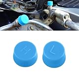 Lonuxi Car A/C Valve Core Caps, Leakproof R134a Air Conditioning System Charging Port Caps Replacement, High...