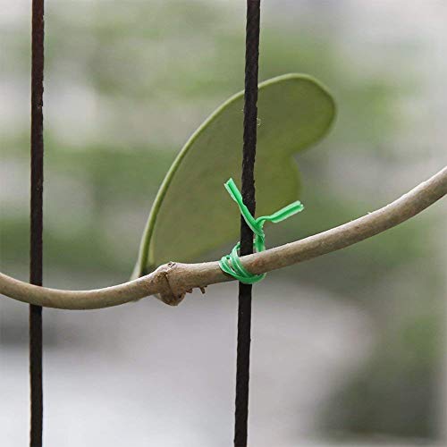 AgriWorld 50m Plastic Twist Tie Heavy Duty Wire Spool Twister with Blade Cutter for Garden Yard Nursery Plant (Green)