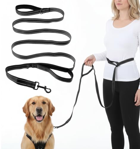 Comoda impugnatura: il guinzaglio per cani dispone di una maniglia regolabile per una presa sicura; il nuovo manico in nylon vicino al collare consente un migliore controllo in quantità di persone o auto, ideale per cani di piccola e media taglia