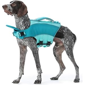 Kuoser Dog Life Jacket, Front Float Dog Life Vest for Swimming Boating, Reflective Pet Swim Suit with Rescue Handle & D-Ring & Chin Float for Small Medium Large Dogs, Green 2XL 2XL(Chest:30.