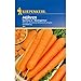 Produktbild Kiepenkerl Möhren 'Nantaise 2 Marktgärtner',1 Portion