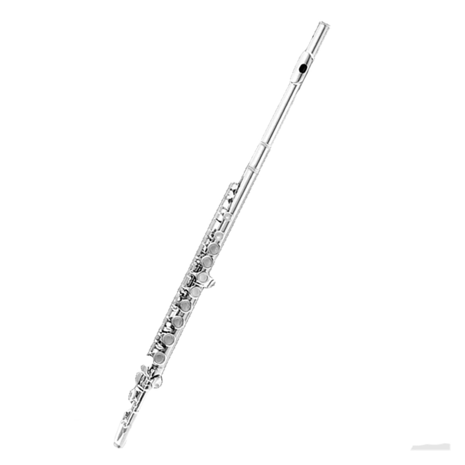 flet prosty 16-otworowy otwór otwarty otwór zamknięty klucz C niklowany instrument fletowy uniwersalny klucz E sekwencja muzyczna dla początkujących