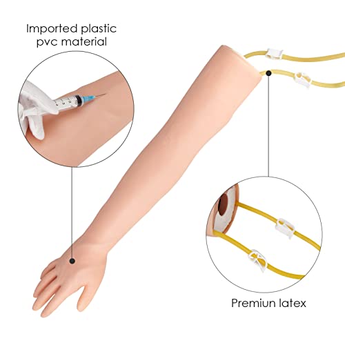 Modèle d'anatomie phlébotomie ponction veineuse injection IV
