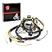 MOTO1988 Magneto Stator coil Compatible with Polaris Xpedition 325 425 2000-2002 OEM 3086232 3086239