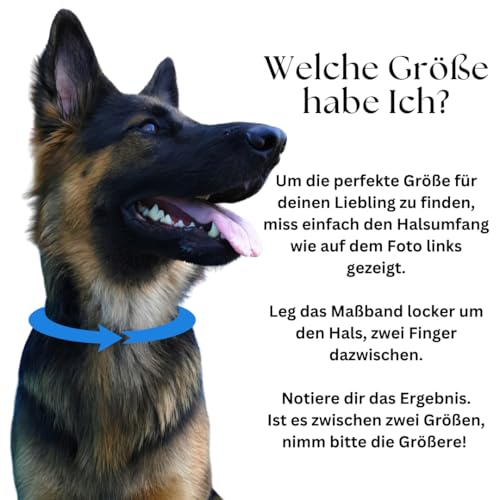 EM-Keramik Halsband für Hunde mit Namen – handgefertigt & personalisierbar – natürlich – Herzperlen Silber – individuell graviert