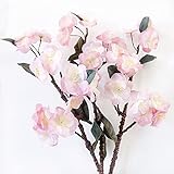 🌸Usos: Las flores artificiales de melocotón se pueden utilizar para decorar interiores y exteriores, como cocinas, oficinas, ventanas, restaurantes, cafés o tiendas, etc. Brindan la decoración perfecta para su vida diaria.
