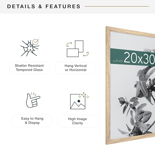 MCS Studio Gallery 20x30 Poster Frame Natural Woodgrain, Vertical & Horizontal Wall Hanging Large Picture Frame for Photos, Posters & Art Prints (1-Pack)