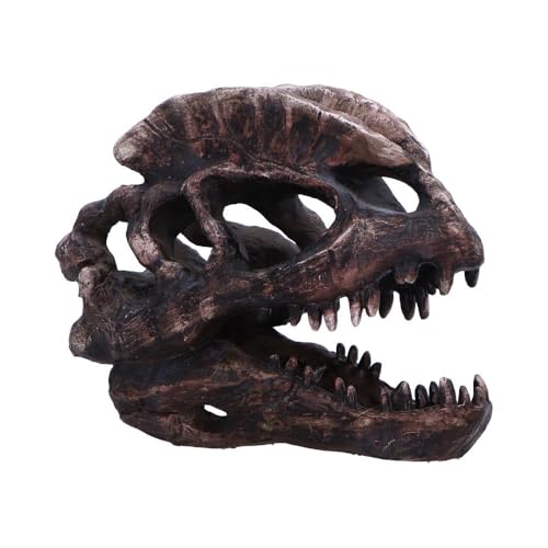 Fossile de dinosaure en résine haute qualité avec finitions réalistes peintes à la main