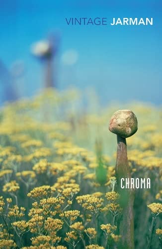 Buy Chroma: A Book of Colour - June '93 — BookShops.in