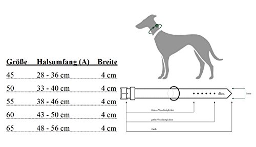 Hunter, collare per cani, in neoprene, riflettente...