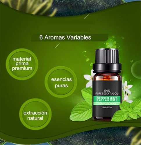 Humidificadores, Personal Care Appliances Imagen adicional