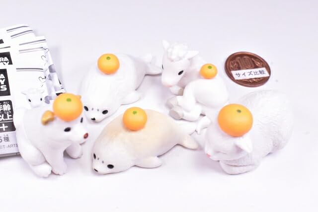 Amazon.co.jp: もちにまる そのさん [全5種セット(フルコンプ