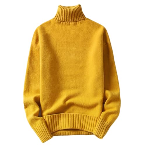 Men's Casual Solid Knitted Sweaters Winter Turtleneck Fashion Pullover - Main Image