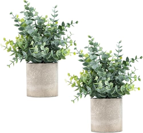 Cozioz 2 Pack Eucalyptus Artificial Plants in Pots – Small Fake Greenery for Home, Bathroom, Desk, Shelf, and Coffee Table Décor