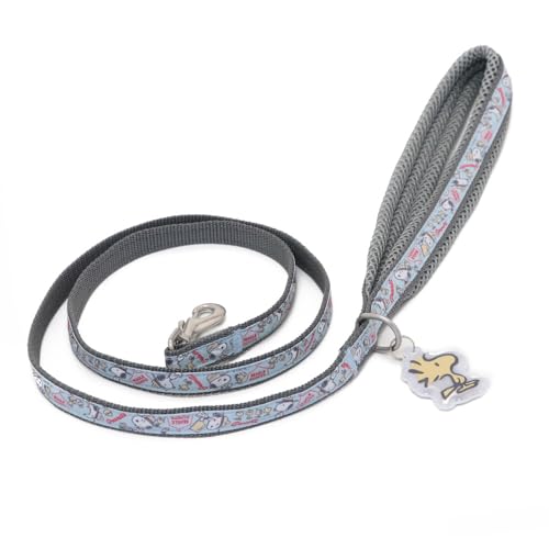 ybgp_CX  [h  Xk[s[ kSr`Rrl r[OXJEg