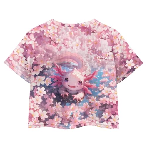 Image of Girls Crop Tees Crew Neck Casual Short Sleeve T Shirts Kids Loose Soft Comfortable Tees Blouses Shirt for Little Girl