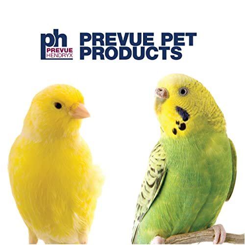 Prevue Pet Products Wrought Iron Flight Cage with Stand, Large Birdcage for Pets, Metal Cage Standing Birdcage, Black… - Image 7