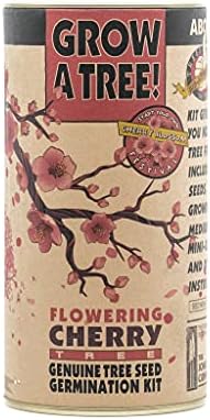 Flowering Cherry | Parks Collection | Tree Seed Grow Kit | The Jonsteen Company