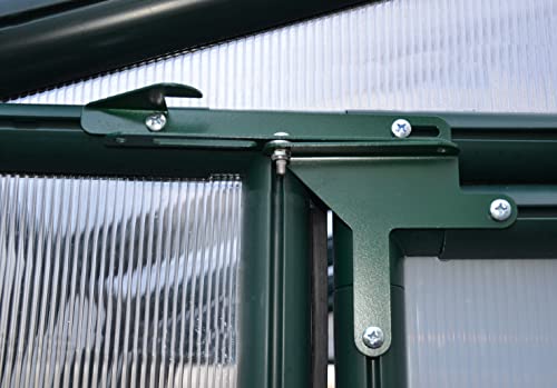 Rion Prestige 8' X 12' Greenhouse #TOP6