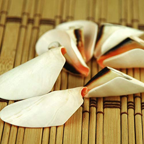 Exceart 20 peças de pequenos caracol concha, cascas de caranguejo ermita, acessórios de artesanato n