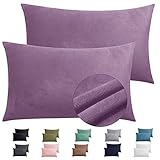 2 Pack Zippered Velvet Standard Pillowcases, Super Soft and Cozy Luxury Fuzzy Flannel Pillow Cases with Zipper, 20x26 Inches, Purple