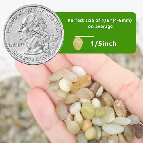 Image of 5lbs Natural Gravel Pebbles for Succulents and Cacti, 1 /5 Inch Decorative River Stones - Perfect for Vases, Aquariums, Terrariums, and Outdoor Gardening, Mixed Colors (Jade, 5 Pounds)