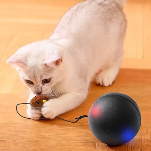 Balle interactive pour chat Generico : jeu intelligent automatique de stimulation pour intérieur - 4