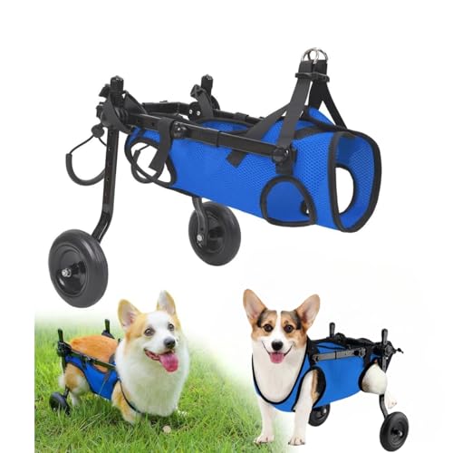 Image of Adjustable Lightweight Dog Wheelchair for Back Legs & Cat Mobility Aid - Small Dog Wheelchair Cart with Wheels for Disabled Hind Legs, Hip Support & Rehabilitation (M-(Suitable for 5 to 10 kg))