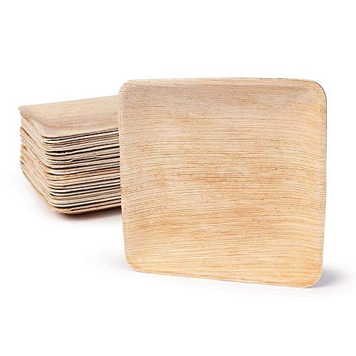 BOX And Tree| 25 Platos Desechable Hoja de Palma 20x20 cml l Vajilla Desechable Ecológica y Biodegradable l Platos de Madera de Palma, Bambú para Bodas, Cumpleaños