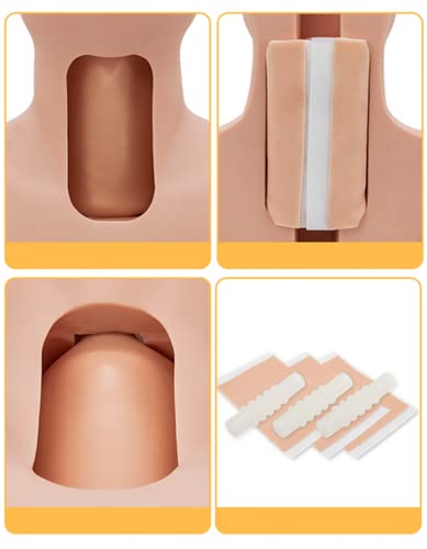 Ghde&Md Tracheostomy And Intubation Training Model, Cricothyrotomy, Tracheotomy Care Training Manikin #TOP4