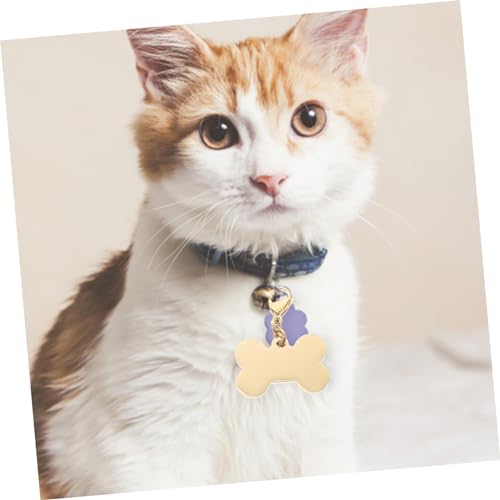 ibasenice 2 Sätze Haustiermarke Hundemarke Anhänger Selber Machen Hundetags Code Personalisiert Hundemarke Individuell Wille Abdeckung Rostfreier Silber Zufällige Farbe 6 Stück * 2