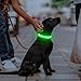 Illumifun Light Up Dog Collar, USB Rechargeable LED Dog Collar Glow in the Dark，Adjustable Pet Safety Lights for Night Walking (Green, Medium)