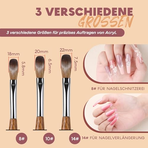 Aokitec Kolinsky Acryl Pinsel für Nägel mit Metal Brush Cleaner - Größe 8/12/14 Nagel Pinsel für Acrylpulver, Nailart Pinsel für Acryl Nägel Selber Machen, Geschenke für Frauen