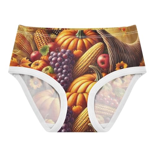 Toddler Underwear Floral 2t Cotton Cute Panties Girl Durable Briefs Undies Kids Autumn Fall Harvest Fruits
