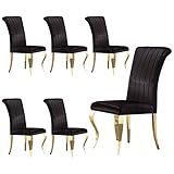 ACEDÉCOR Dining Chairs Set of 6, Black Velvet Upholstered Chair with Gold Metal Legs, Luxury Kitchen