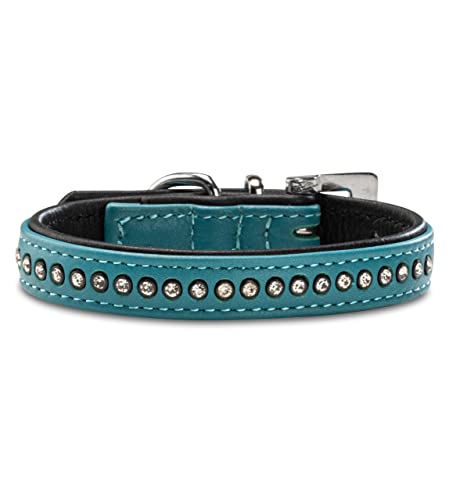 Hundehalsband aus Echt-Leder mit Strasssteinen/Kristall besetzt – funkelndes Hunde und Katzen Halsband aus gepolsterten und doppellagigen Büffelleder - Lederhalsband Audrey (S (20.0-27.5cm), Türkis)