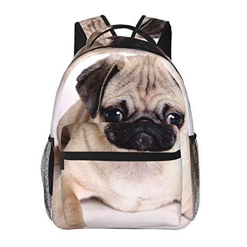 Sac à dos Corgi et ananas pour des journées scolaires ensoleillées