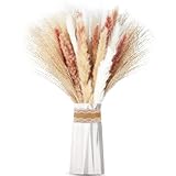 Regalos maravillosos: la hierba de la pampa también se puede regalar a familiares y amigos, como el Día de la Madre, el Día de Acción de Gracias, el Día de San Valentín, Navidad, cumpleaños, inauguración de la casa y otros regalos y otros días festivos especiales.