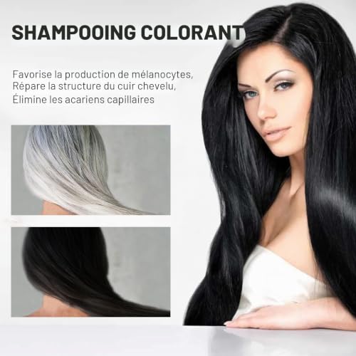 Pemarlis 500ml 3 en 1 shampoing colorant noir,Shampoing colorant noir naturelle,Couverture 100% Shampoing cheveux coloré pour femmes et hommes,Quelques Minutes Teinture Naturelle et Durable – vue 5