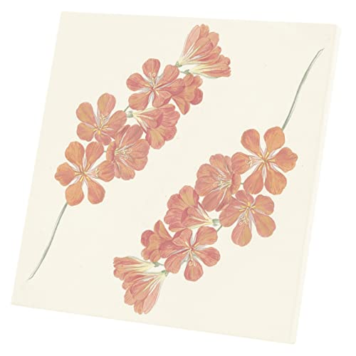 Poster fleur botanique ancienne tableau déco vintage 60x60