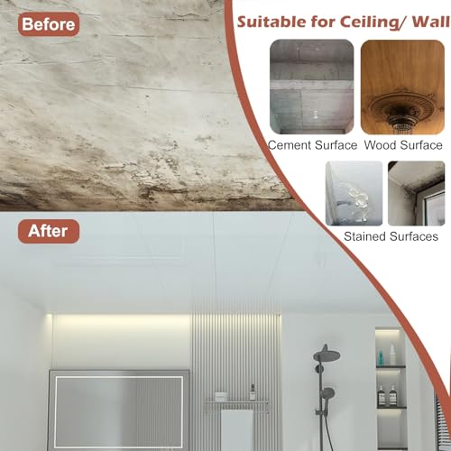 Accesorios para el hogar Exprimidor de cítricos de Acero Inoxidable - Exprimidor Comercial de Alta Resistencia para Exprimir sin Esfuerzo -