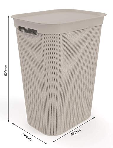 Rotho Brisen Wäschesammler 50l mit Deckel und Griffen, Kunststoff (PP) BPA-frei, anthrazit, 50l (43.1 x 34.0 x 52.9 cm)