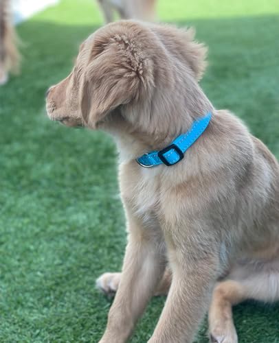 Collar Reflectante para Perro, Nylon Ajustable, Talla L miniatura 2