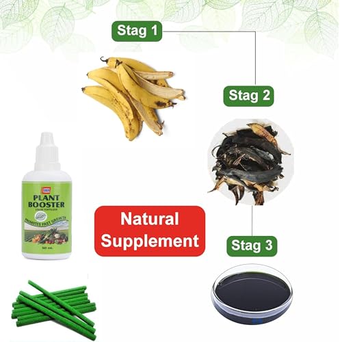 Image of 100% Natural Fertilizer Sticks, Magic Stick Plant Food for Indoor & Outdoor Plants, natural fertilizer for Home Garden Plants | Plant Growth Booster Healthy (40pcs-Plant-stick+100ml booster)