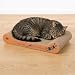 TRIXIE Kratzpappe Wild Cat – Kratzbrett für Katzen aus stabiler Wellpappe mit Katzenminze - 41 × 24 × 7 cm - zur Krallenpflege & Beschäftigung - 48000