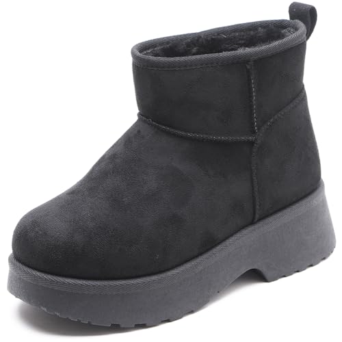 [gu[c fB[X  t@[ N V[gu[c h g ₷ ɂ y y ubN LL