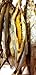Forest Corner Wild Caught Dried Female Capelin with Roe (Masago) Dried fish 多春鱼 2 lbs